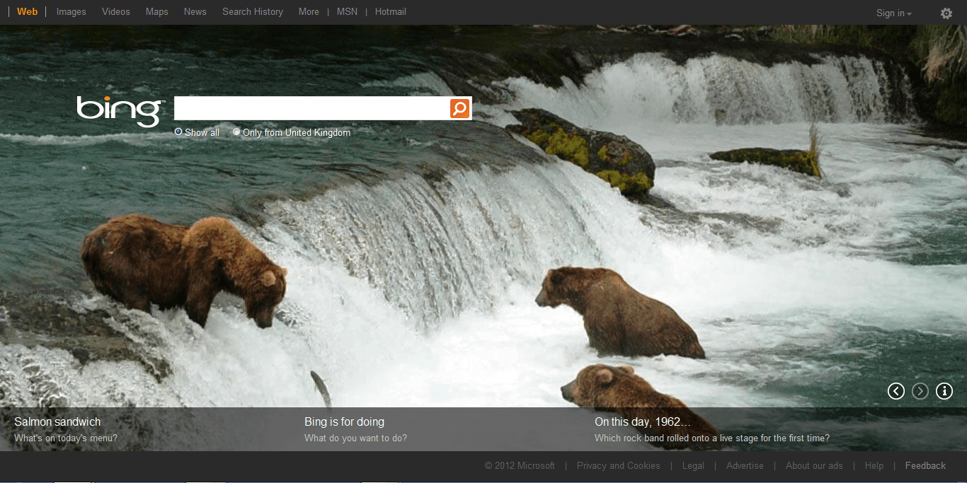 Zoeken Microsoft Bing